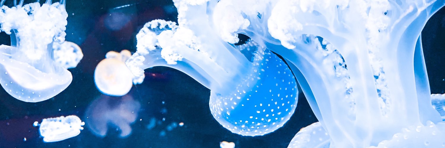 _haileyxxx's profile banner image