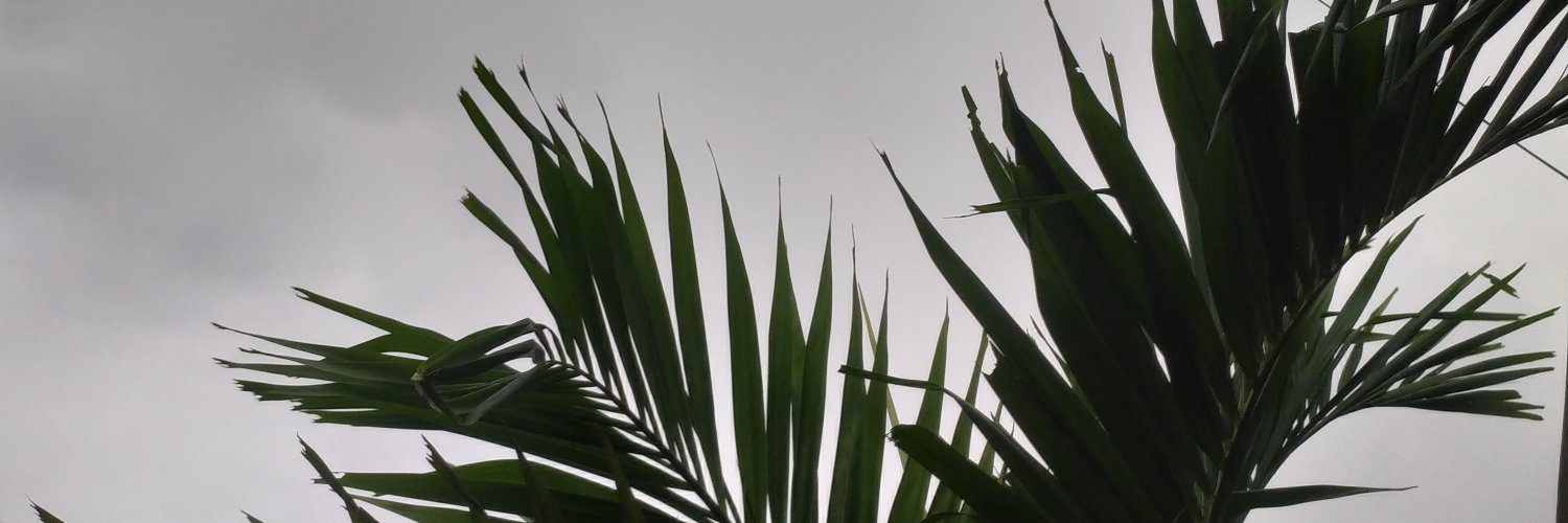 msasuke58's profile banner image