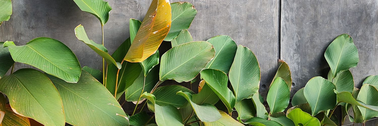 batharidaily's profile banner image