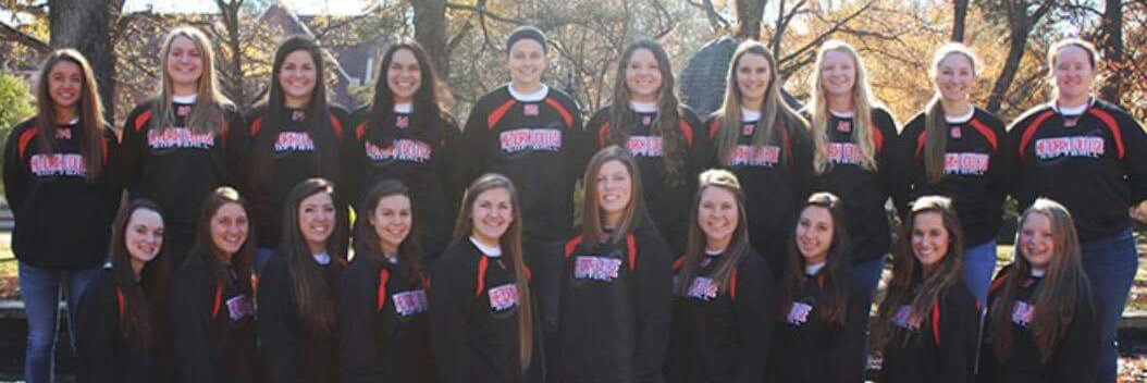 HendrixSoftball's profile banner image