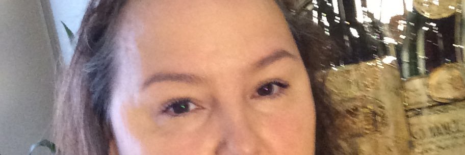 Carey Chitrena banner