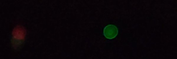 shashankbhrgv Profile Banner