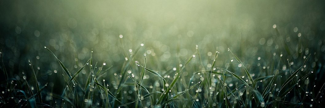 fareedmalik92's profile banner image