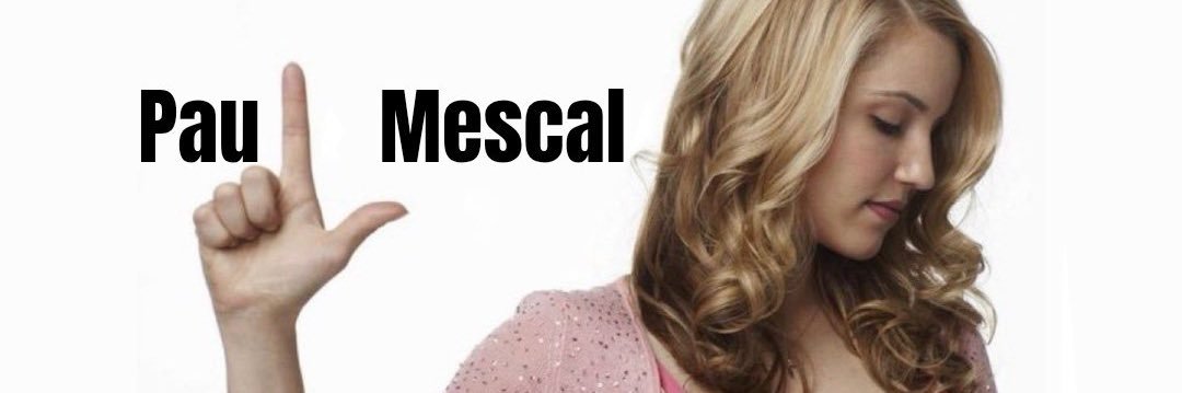 sacsnotfound's profile banner image