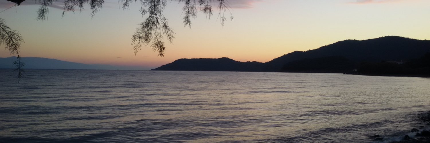 lauralanuza's profile banner image