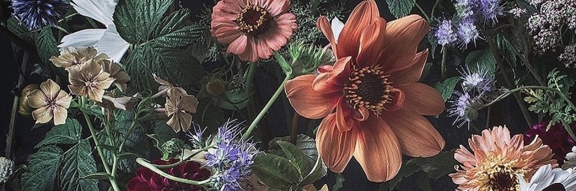 bethakirk's profile banner image
