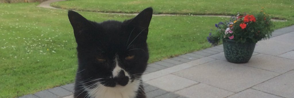 SharonEllis_'s profile banner image