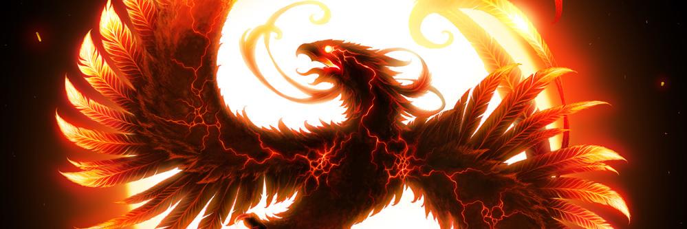 jaxforestwalker's profile banner image