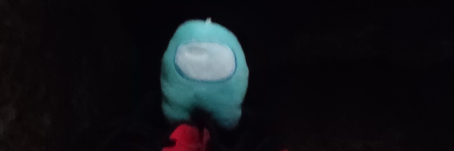 vichito_morales's profile banner image