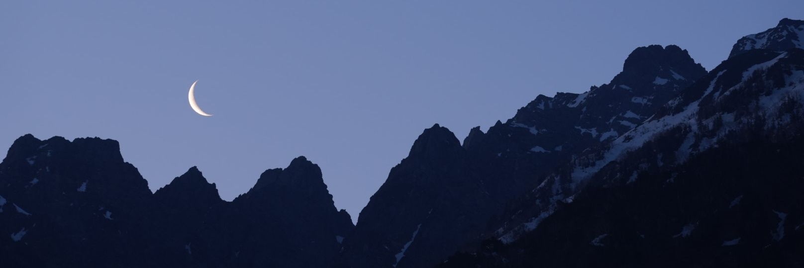 teraterer's profile banner image