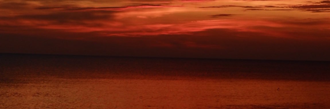 Mannn banner
