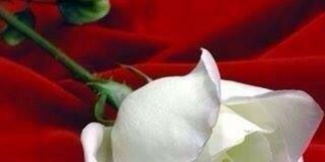 HamadHam678ad's profile banner image