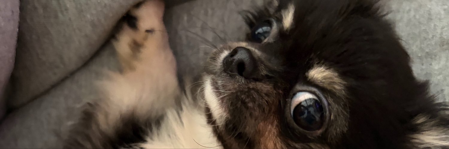 guisnasc's profile banner image