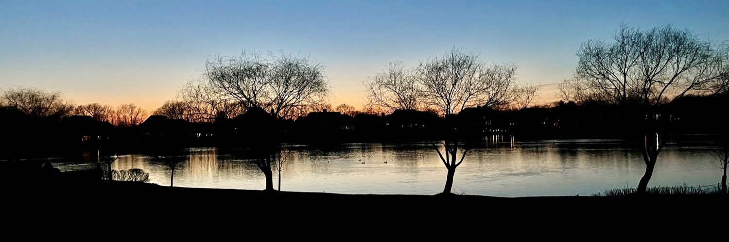 Aneesa Das, MD, FCCP, FAASM banner