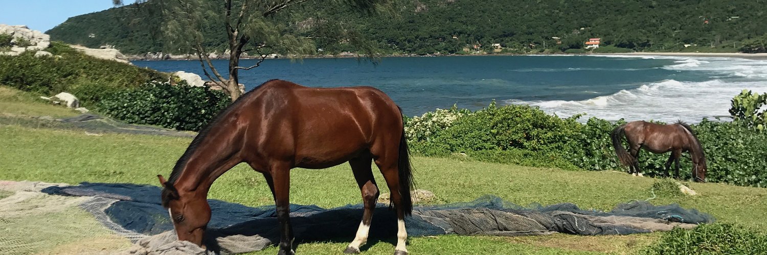 EdgarGarbelotto's profile banner image