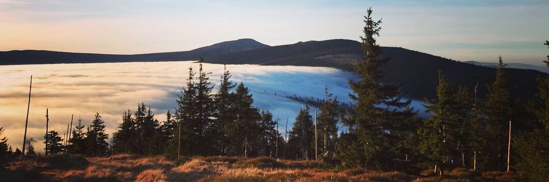 Petra Blevins banner