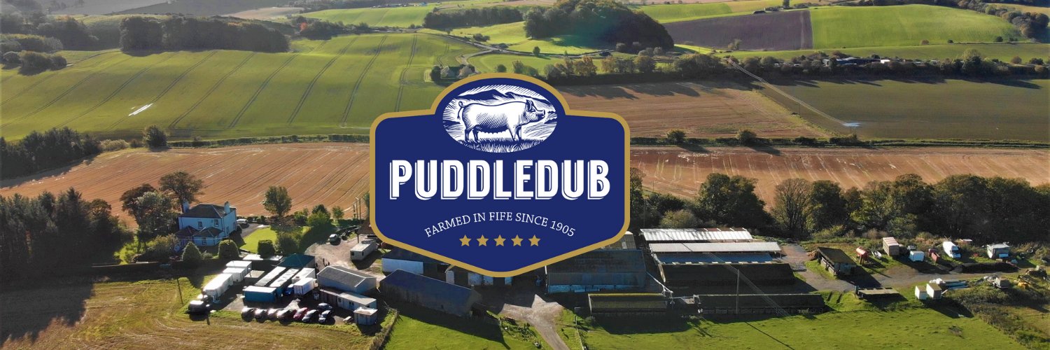 Puddledub banner