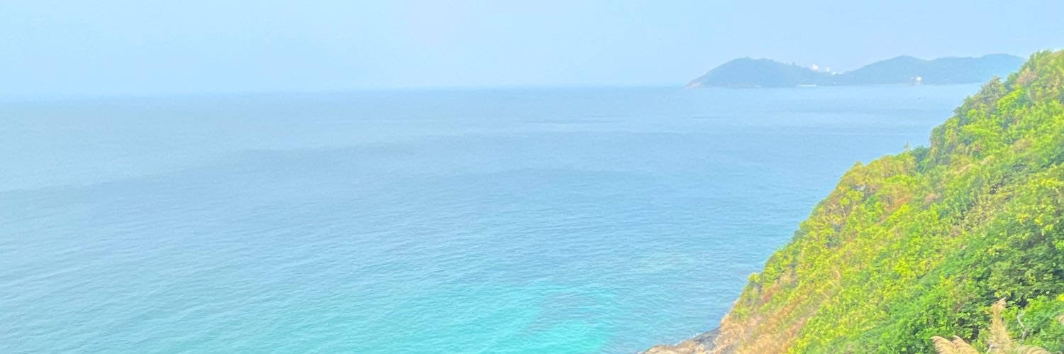 FournelAmelia's profile banner image