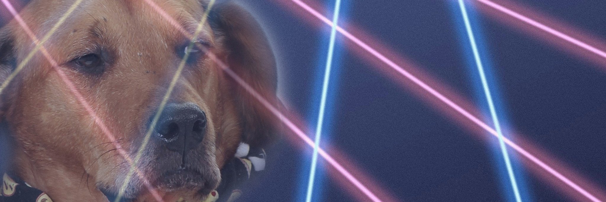 jacquijade's profile banner image