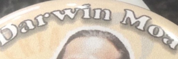 darwinzkyMoa Profile Banner