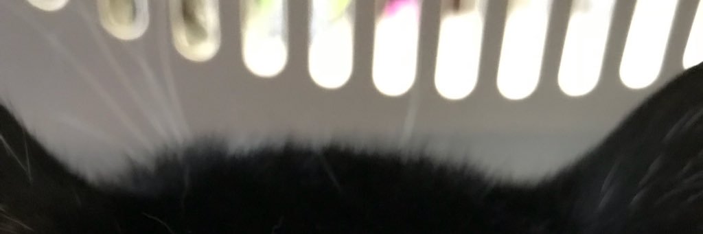 PLxHCM's profile banner image