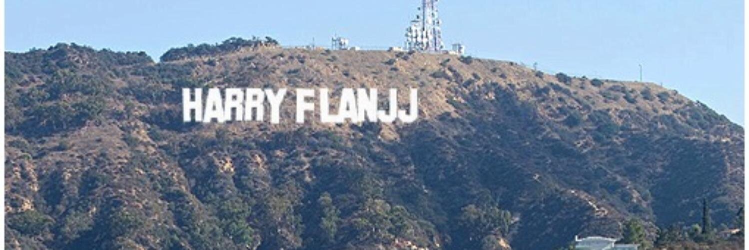 harryflanjj's profile banner image