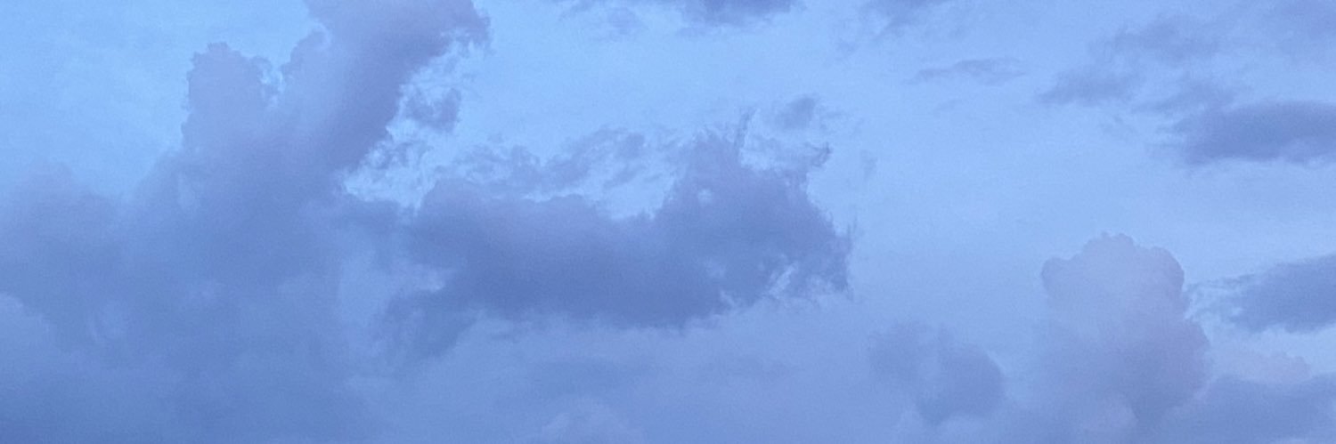 milcaahmina's profile banner image
