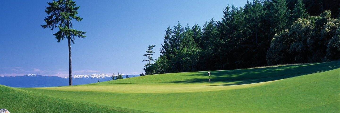 BlackWolfGolf banner