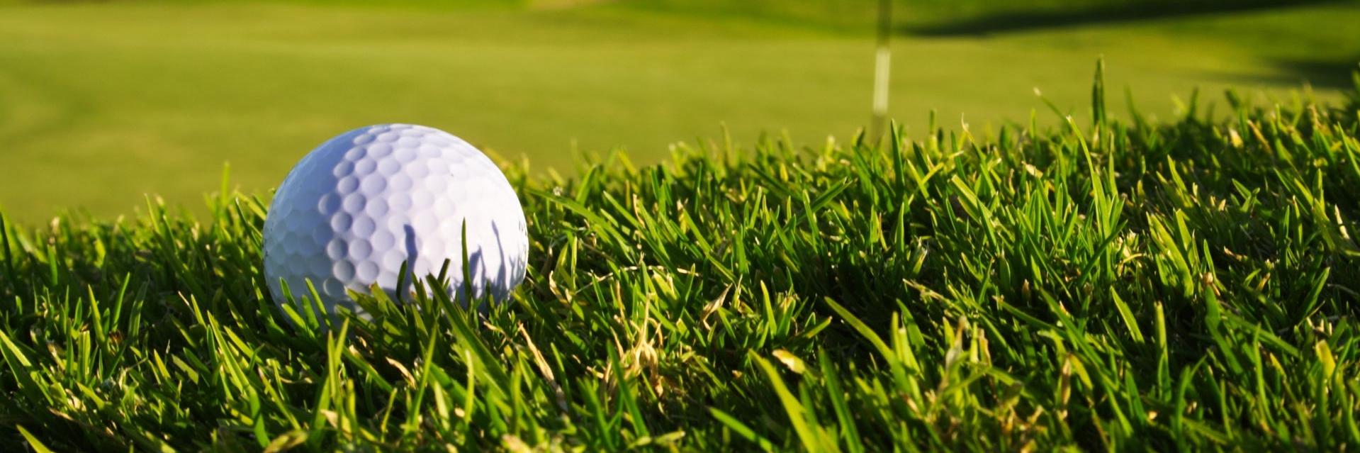PutnamCountyGC's profile banner image