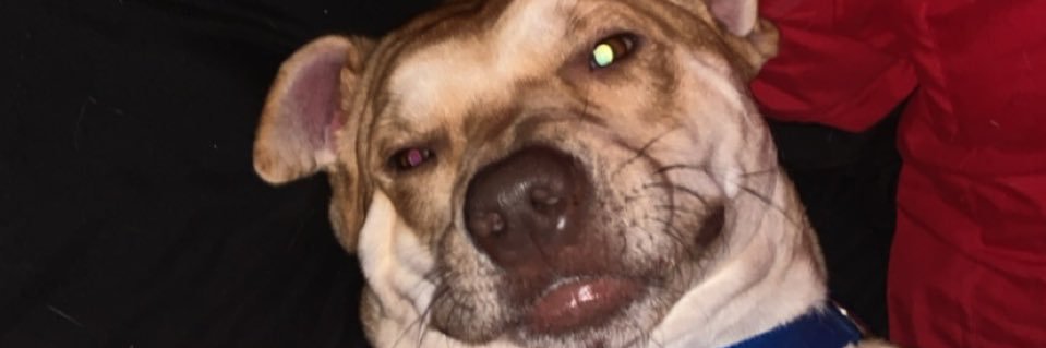ColbyColbywyatt's profile banner image