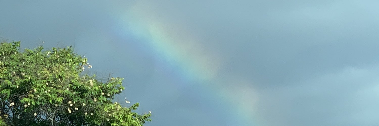 mandymonett's profile banner image