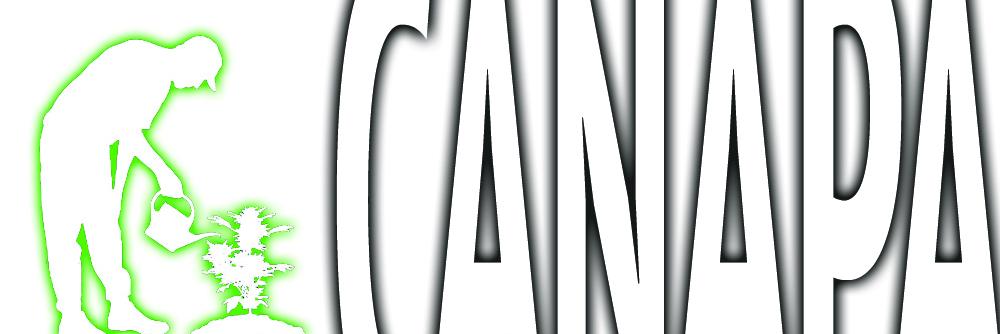CanapaClub's profile banner image