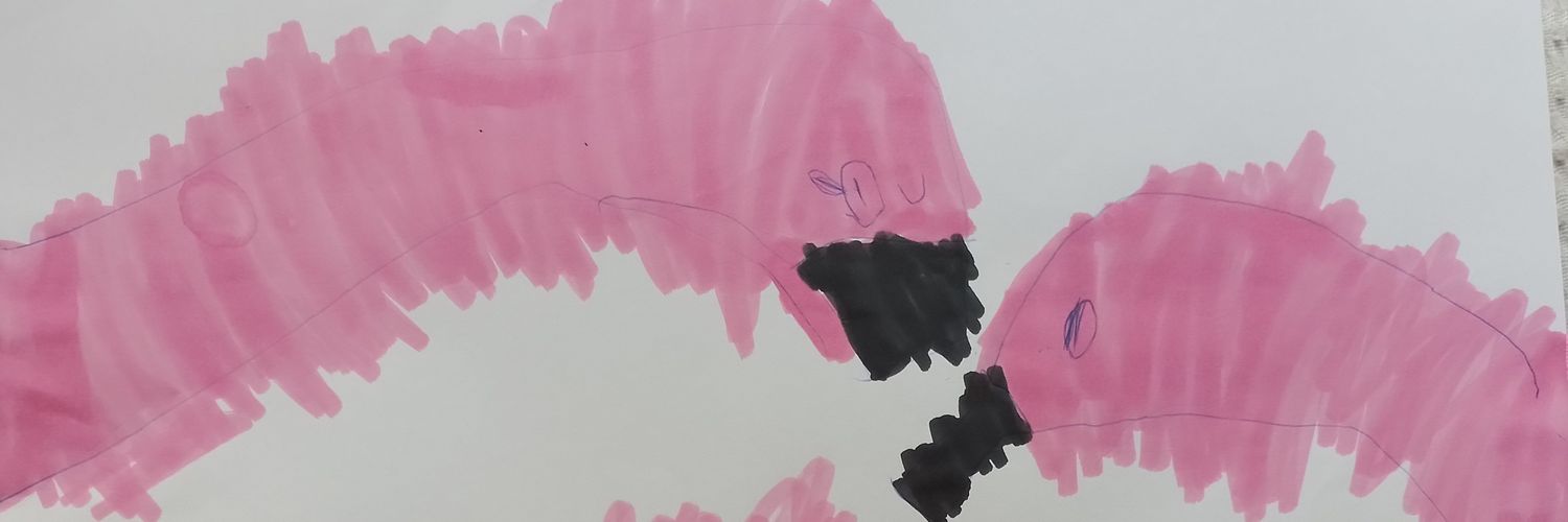 Thiago Roberto banner