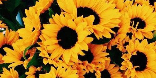 KarenBasave's profile banner image