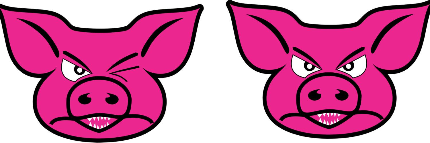thedigpig's profile banner image