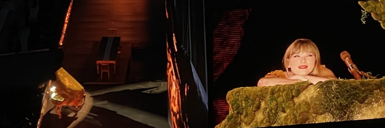 lizanassi's profile banner image