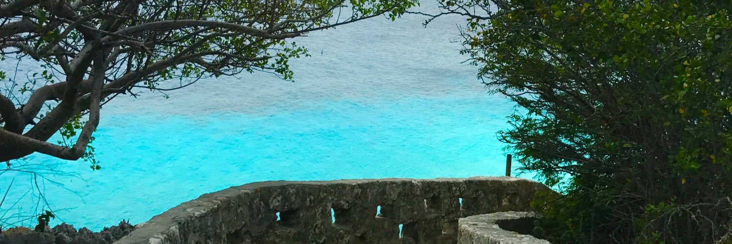 Reefgal's profile banner image