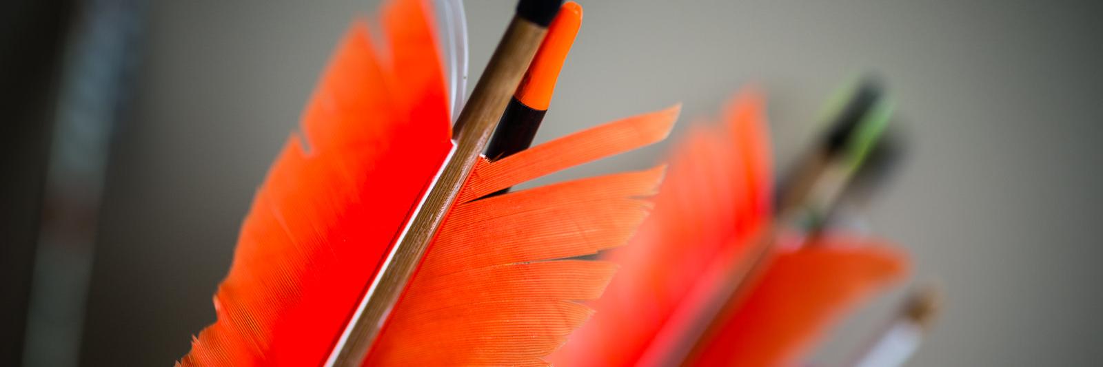 thearcheryroom's profile banner image
