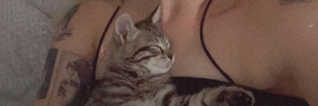 lisachrrt's profile banner image