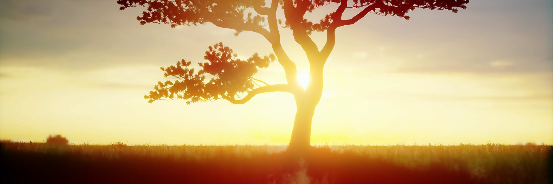 MashaFaisa's profile banner image