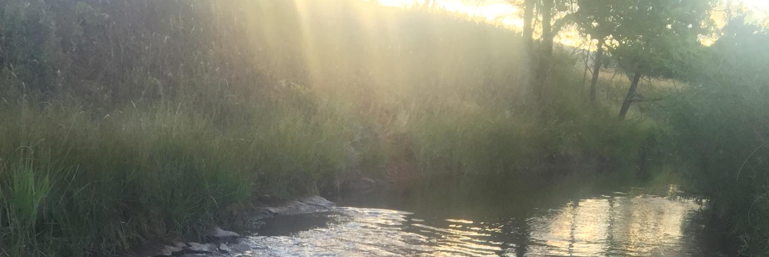 ChadHYounger's profile banner image