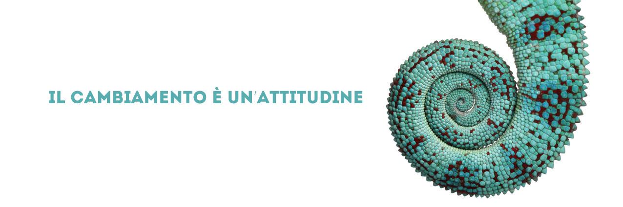 PaolaCandi's profile banner image