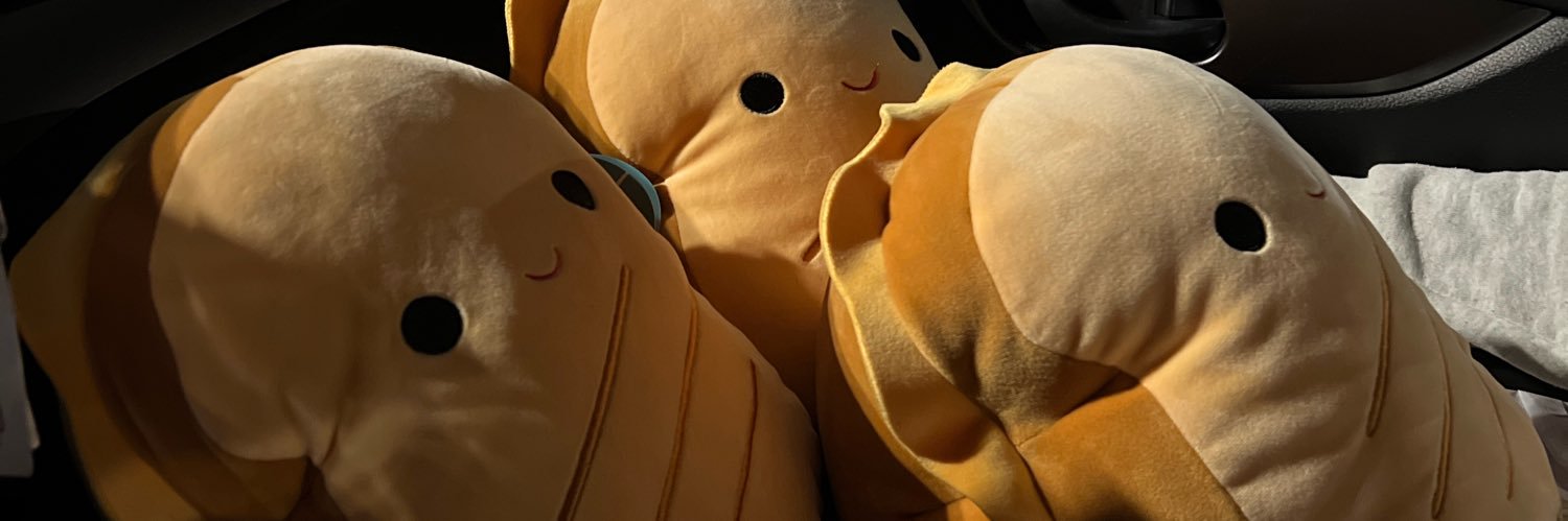 naaaaadiaaa's profile banner image