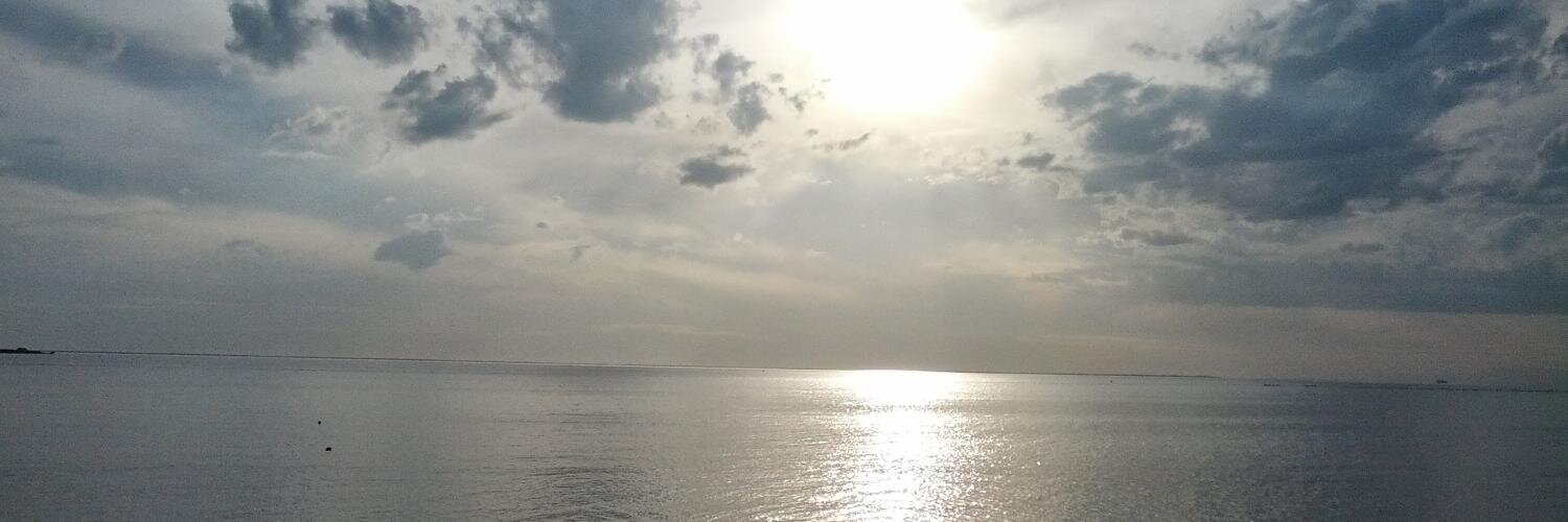 Nicolas Grilly banner