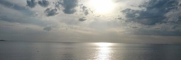 ngrilly Profile Banner