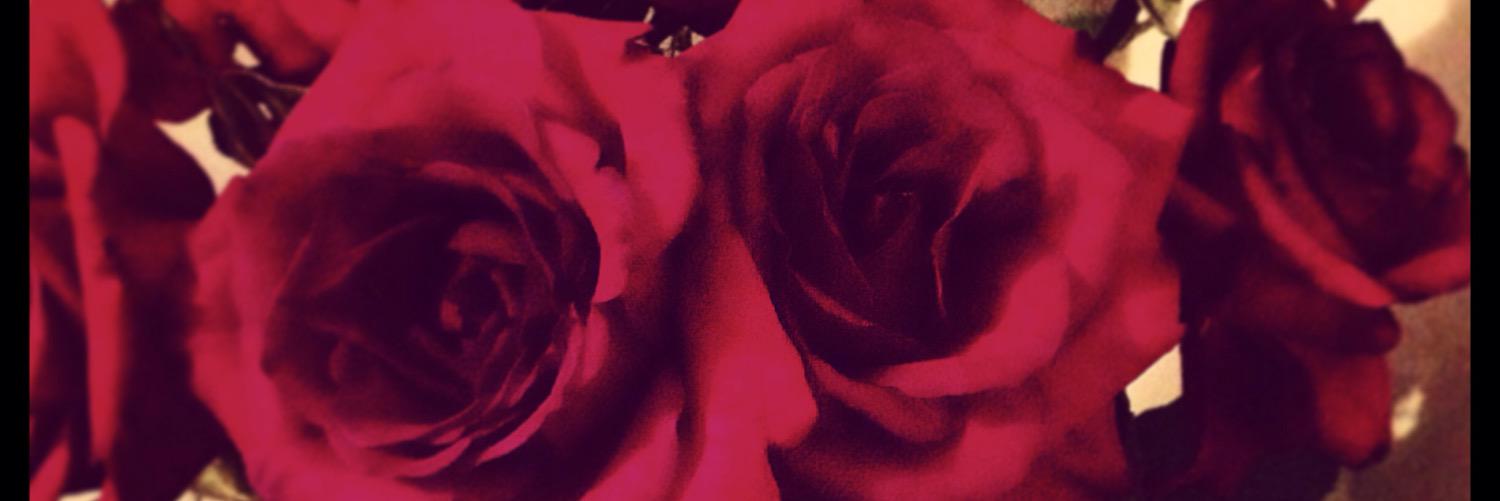 yorkieswing's profile banner image