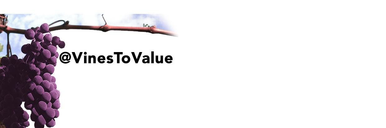 VinesToValue's profile banner image