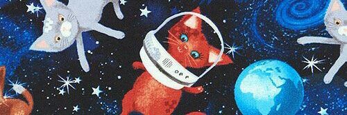 il gatto meow's banner