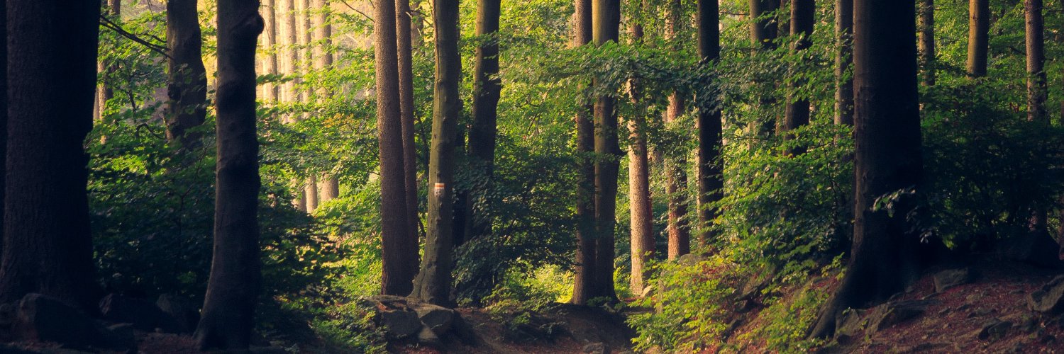 Vítor Brandão banner