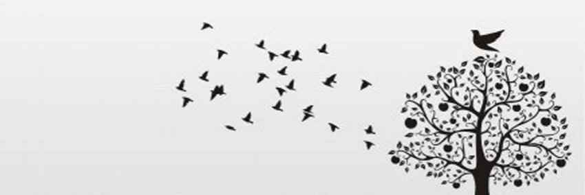 BrilhoTaquesa_'s profile banner image